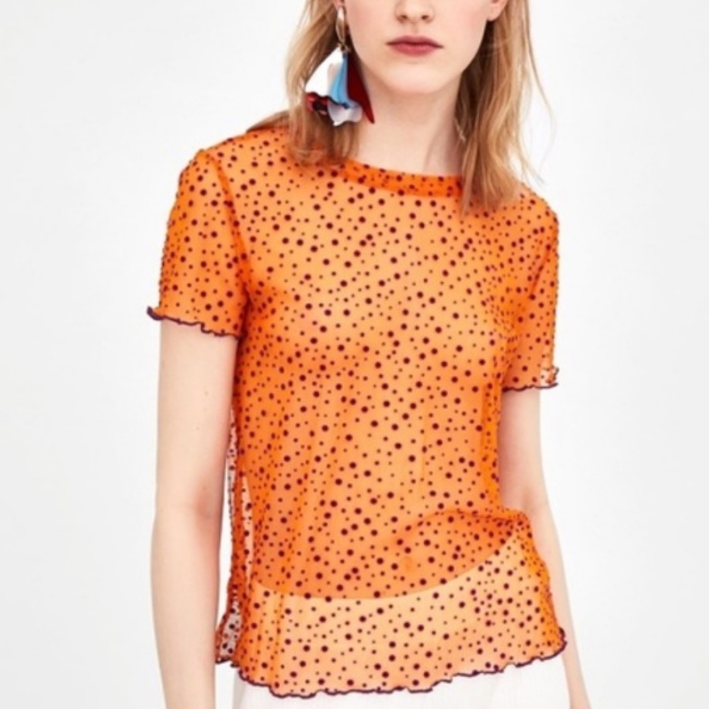 LAST CHANCE Zara Trafaluc Mesh Top